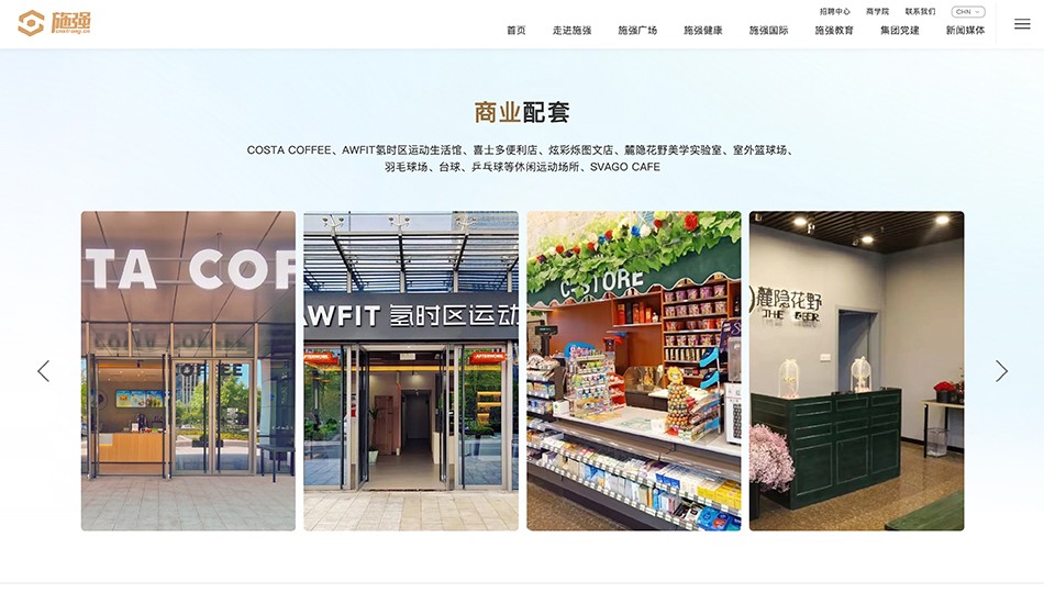 施强集团_杭州网站建设案例展示_予尚网络
