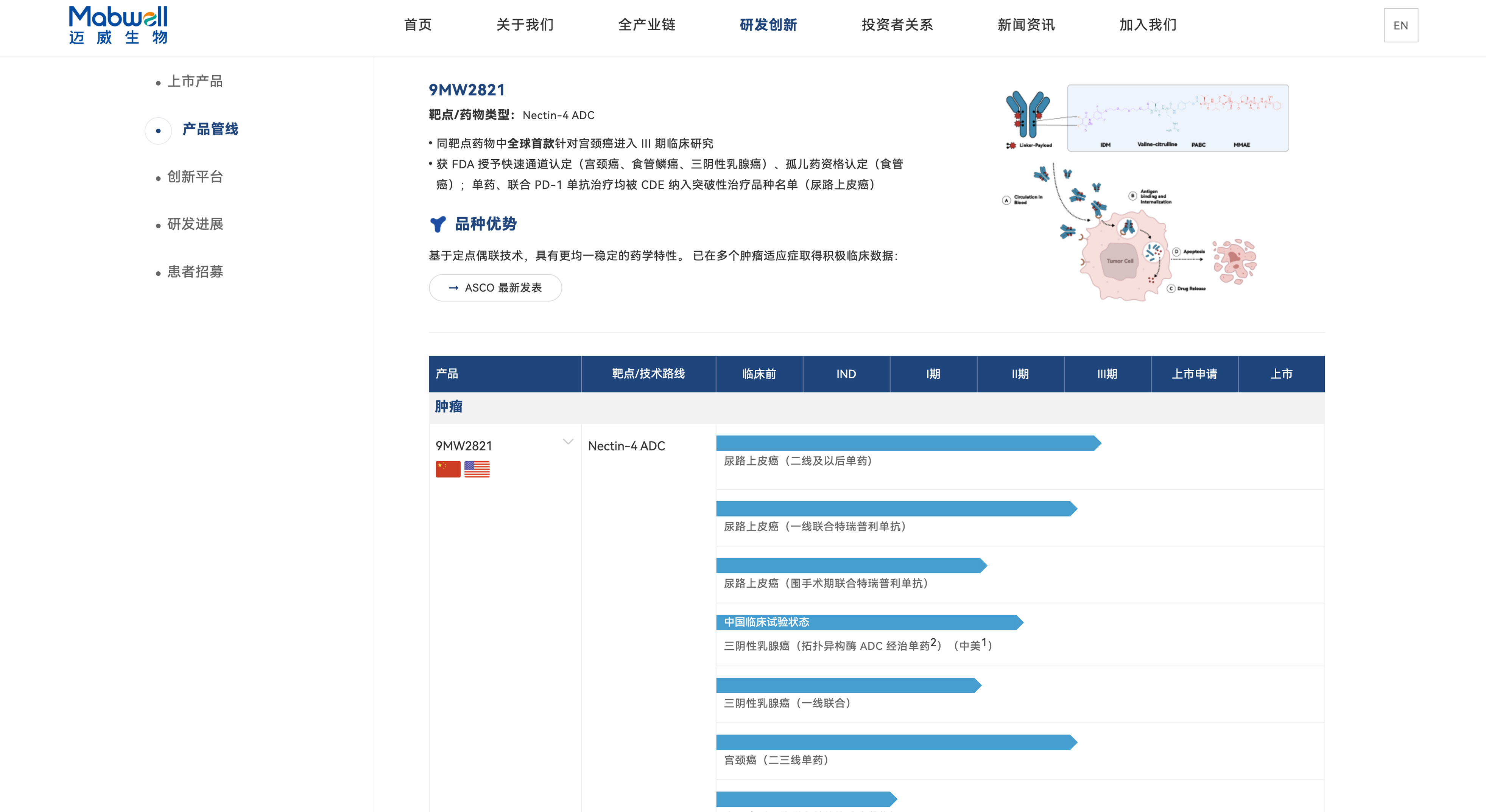 迈威生物网站建案例_生物医药网站建设_上海网站建设